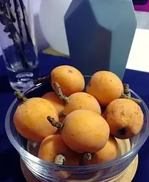 Саджанець Agro-Market Мушмула Німецька (25574) 1 шт. в упаковці - мініатюра 3