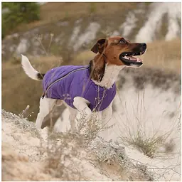 Жилет для собак Pet Fashion E.Vest SM фіолетовий - мініатюра 4