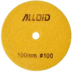 Круг алмазний Alloid Building Tools Hexagon шліфувальний на липучці 100 мм зерно 100 (DD-63386)