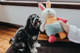 М'яка іграшка для собак Hunter Muli – Rabbit - мініатюра 2