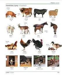 Polish English Bilingual Visual Dictionary - мініатюра 9