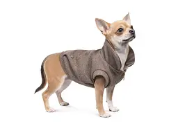 Жилет для тварин Pet Fashion Harry XS2 (4823082430109) - мініатюра 3