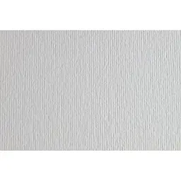 Папір для дизайну Fabriano Elle Erre А4 (21x29.7см) №29 brina 220г/м2 білий дві текстури