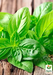 Насіння Agro-Market Базилік Суміш кращих популярних сортів на вагу ціна за 3 г (35762) - мініатюра 2