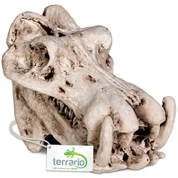 Декорація череп бегемота Terrario Hippo Skull 5x3x3см (533) - мініатюра 4