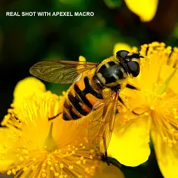 Макрооб'єктив для телефону Apexel 100mm Super Macro Lens (APL-HB100MM) [84338] - мініатюра 5
