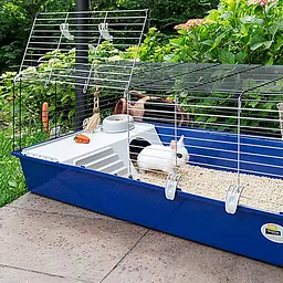 Клітка Ferplast Rabbit 120 для кроликів та морських свинок - мініатюра 13
