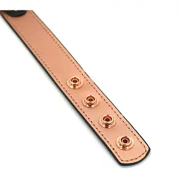 Нашийник із затискачами для сосків Liebe Seele Rose Gold Memory Collar With Nipple Clamps - мініатюра 4