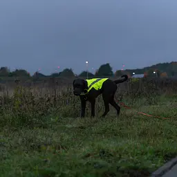 Жилет для собак Trixie захисний світловідбиваючий XS 25 см неоново-жовтий - мініатюра 13
