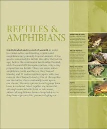 Wildlife of Britain and Ireland - мініатюра 12