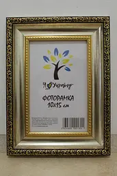Фоторамка 10х15, срібна із золотим обрамленням, 377-036S, Скло + Картон