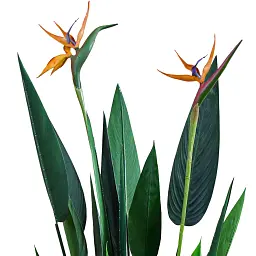 Штучна рослина Engard Strelitzia 120 см (TW-25 ) - мініатюра 2