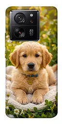TPU чохол Demsky Small labradore для Xiaomi 13T