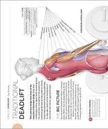 Science of Strength Training - мініатюра 8