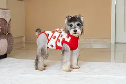Костюм для відновлення після операції для собак VPETER Strawberry, M - мініатюра 6