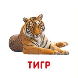 Дикі тварини. Перша книжка малюка - мініатюра 3