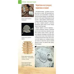 Книга Талант Рептилії – жахливі й чудові - Гапченко Андрій - мініатюра 3