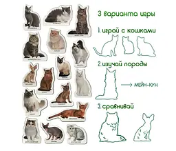 Магнітний набір Magdum Magnetic set Breeds of cats Породи котів (ML4031-13 EN) - мініатюра 3