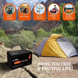 Акумулятор Li Time LiFePO4 12V [12.8V/12Ah/153.6Wh] [123757] - мініатюра 4