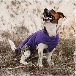 Жилет для собак Pet Fashion E.Vest SM фіолетовий - мініатюра 5