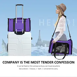 Сумка-переноска для домашніх тварин Bestopet (Люпосанчик) Portable Travel Bag - мініатюра 6
