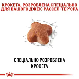 Сухий корм для дорослих собак породи Джек Рассел Тер'єр Royal Canin Jack Russell Adult, 0,5 кг (21000059) - мініатюра 3