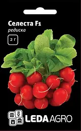 Редиска Селеста F1 2 г Enza Zaden Leda Agro