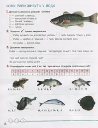 Зошит дослідника. 3 клас. Частина 2. До підручника Іщенко О. Л. та ін. - мініатюра 6