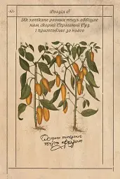 Алхімічний діарій - мініатюра 4