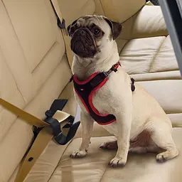 Нейлоновий ремінь безпеки для тварин вагою до 45 кг Ferplast DOG TRAVEL BELT - мініатюра 2