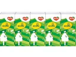 Носові хустинки RUTA Ecolo без аромату 2 шари 1уп/10 пачок