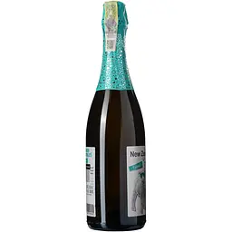 Вино ігристе Tainui Sauvignon Blanc Bubbles брют біле 0.75 л - мініатюра 2