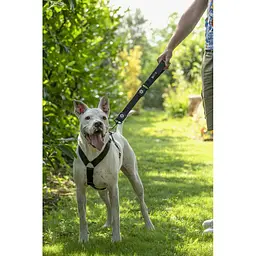 Шлея GimDog Harlem H для собак, нейлон, чорна, 2,5х67-90 см - мініатюра 2
