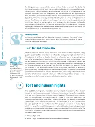Tort Law Directions - Vera Bermingham - мініатюра 5