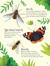 Bugs to Spot. Usborne Minis - мініатюра 5