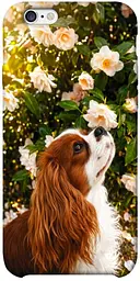 TPU чохол Demsky Flower spaniel для Apple iPhone 6/6s plus (5.5")