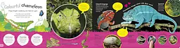 The Incredible Fold-Out Book of Animals - мініатюра 4