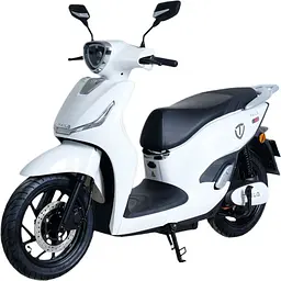 Електроскутер Tailg T-61 GR-106 White [172329]
