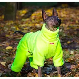 Зимовий комбінезон для собак "Велюрова зимова піжама" лимонний 10 For My Dogs zoo0006260 - мініатюра 3