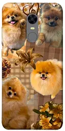 TPU чохол Demsky Spitz aethtetic для Xiaomi Redmi 5 Plus / Redmi Note 5 (Single Camera)