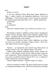 Українська мова. 4 клас. Творчі завдання - мініатюра 5