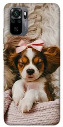 TPU чохол Demsky Sleepy spaniel для Xiaomi Redmi Note 10 / Note 10s