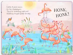Little Robin's Book of Birds - мініатюра 7