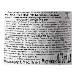 Вино игристое Dominio de Punctum Lanzado Pet Nat Rose, рожеве, сухе, 13,5%, 0,75 л (882989) - мініатюра 5