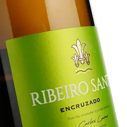 Вино Magnum Ribeiro Santo Encruzado DO Dаo 2022 біле сухе 1.5 л - мініатюра 4