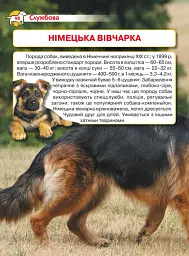 Енциклопедія. Собаки - мініатюра 5