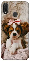 TPU чохол Demsky Sleepy spaniel для Huawei P Smart+ (nova 3i)
