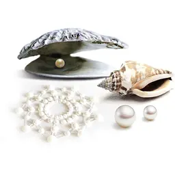 Пестіс з кристалів Bijoux Indiscrets Mimi Pearl прикраса на груди One size - мініатюра 3