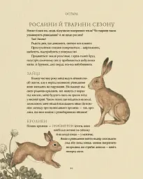 Колесо року. Ілюстрований путівник ритмами природи - Джессіка Ру - мініатюра 8