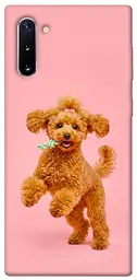 TPU чохол Demsky Happy poodle для Samsung Galaxy Note 10